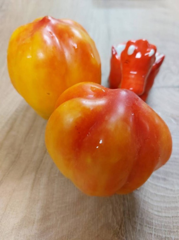 Kaliforniai Tulipán paradicsom - Paradicsom különlegességek az Egzotikus Növények Stúdiója kínálatából
